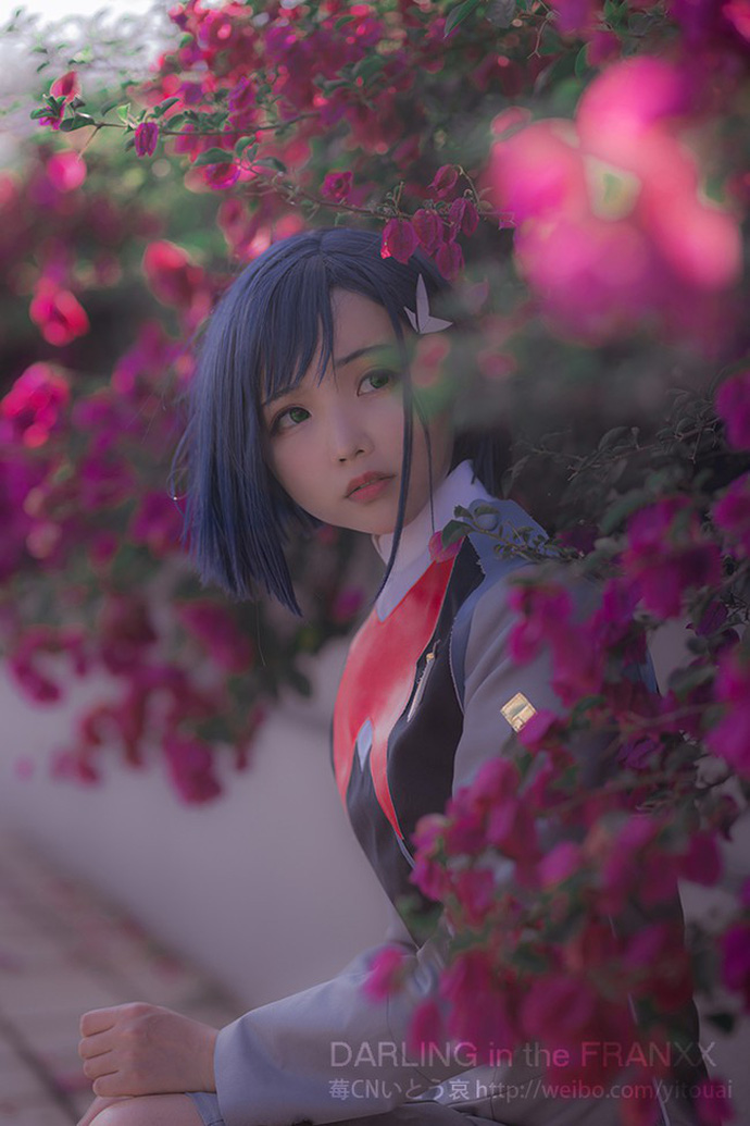 猫步她老公哀子 cos 作品 | 猫步她老公哀子 cos《DARLING in the FRANXX》莓-第5张图片